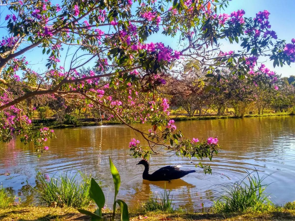 Pousada Chales Do Retiro - Serra Do Cipo Mg Жаботикатубас Екстериор снимка